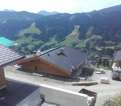 Chalet Grünholz in Mühlbach