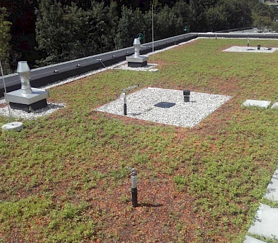 Dachbegrünung Kindergarten Großarl