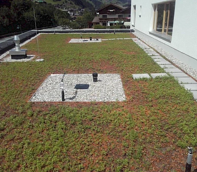 Dachbegrünung beim Kindergarten in Großarl