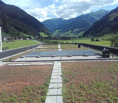 Kindergarten Großarl: Dachbegrünung