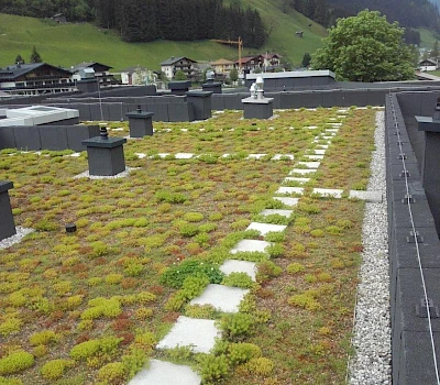 Grünes Dach der Volksschule Großarl