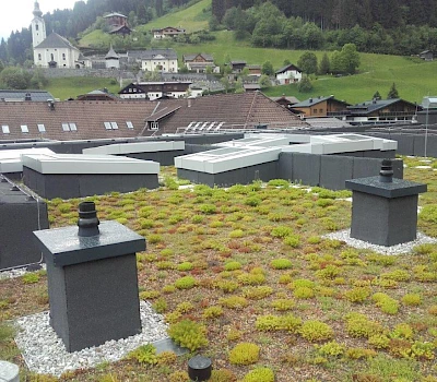 Dachbegrünung Volksschule Großarl