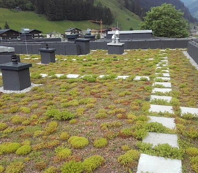 Dachbegrünung auf der Volksschule in Großarl