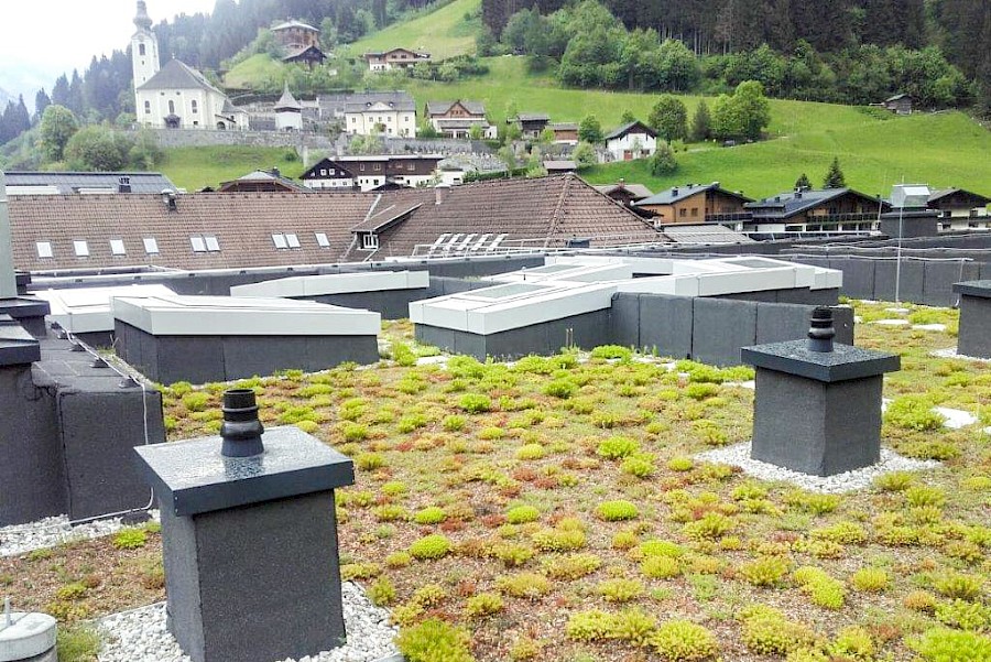 Dachbegrünung Volksschule Großarl